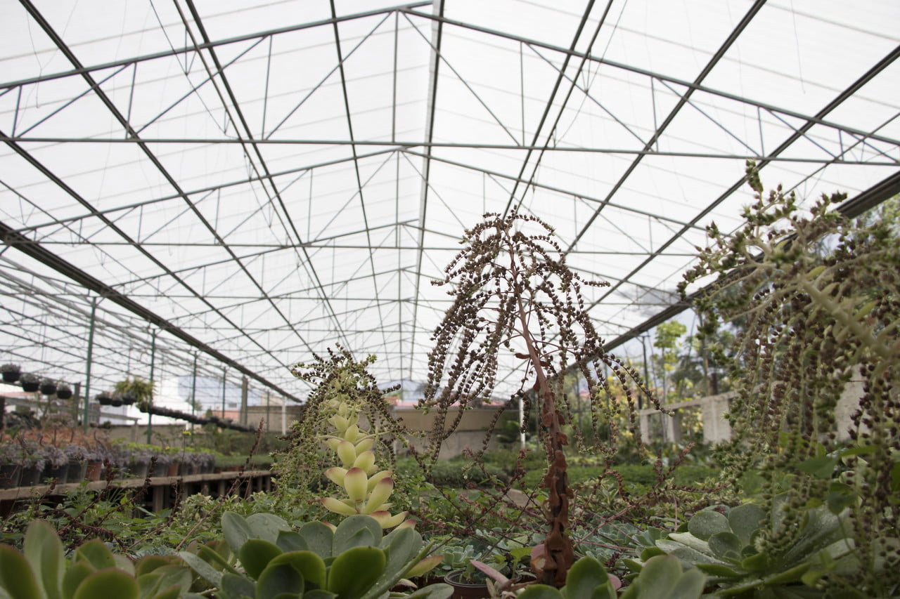 Fiberglass Greenhouse Panels Stabilit America FRP Panels