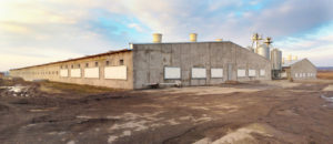 industrial door skins