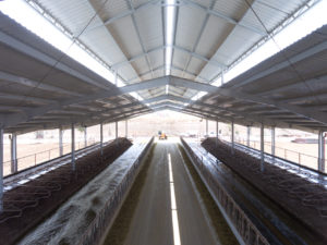 agroindustrial roof frp panels