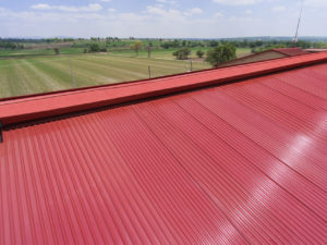 agroindustrial roof panel