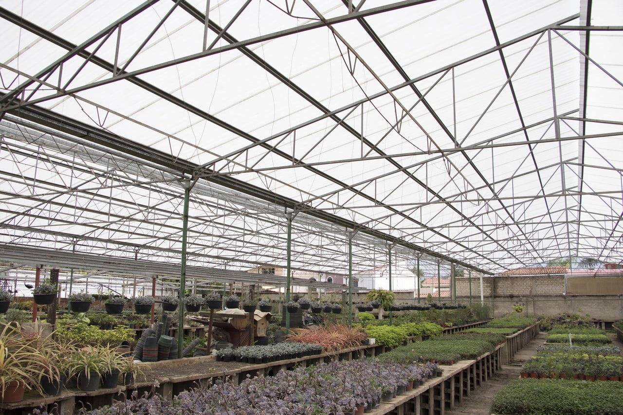 Commercial greenhouse FRP roof