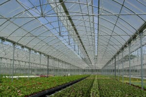 Large greenhouse with microbial panels