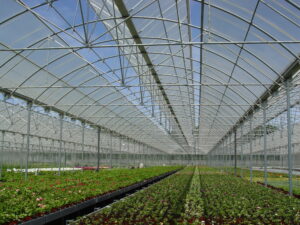 Large greenhouse with microbial panels